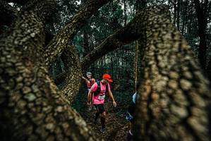 BIB: 
                            <button type="button" onclick="openModal(25672845)" class="btn btn-primary btn-sm float-right btn-popup" data-toggle="modal" data-target=".modal-high-quality">
                        <i class="fas fa-shopping-cart"></i> Add to Cart
                    </button>
                                            <button type="button" onclick="isThisMe(25672845, true)" class="btn btn-success btn-sm float-right btn-popup btn-isme hidden" data-toggle="tooltip" data-placement="bottom" title="นี่คือรูปของคุณใช่ไหม คลิกที่นี่เพื่อเอาเข้าอัลบั้ม">
                        <i class="fas fa-plus"></i> Add to album
                    </button>
                    <button type="button" onclick="isThisMe(25672845, false)" class="btn btn-warning btn-sm float-right btn-popup btn-isnotme hidden">
                        <i class="fas fa-ban"></i> Remove from album
                    </button>